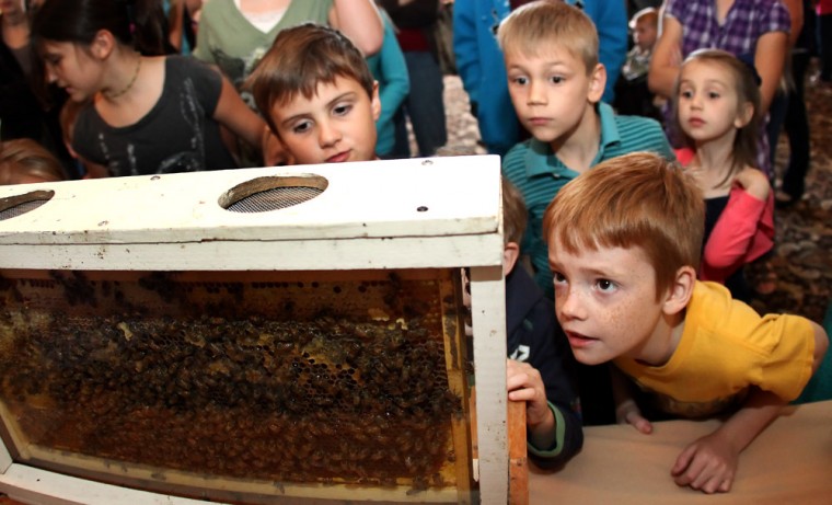 Kids Learning About Bees